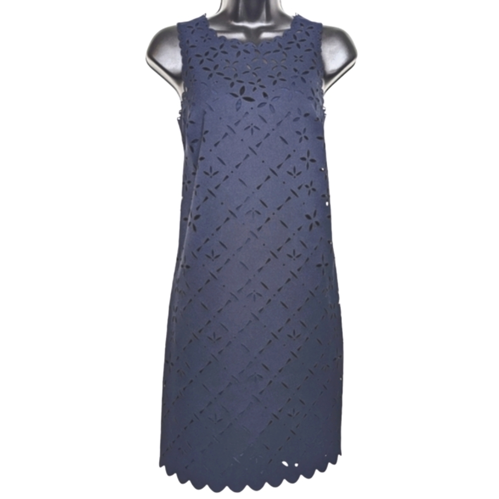 🎉 J. Crew Laser Cut Dress (0)